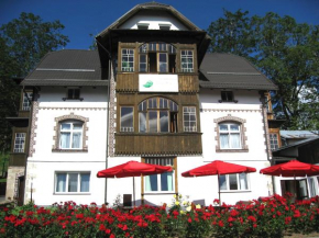 Отель Zielone Wzgórze  Карпач